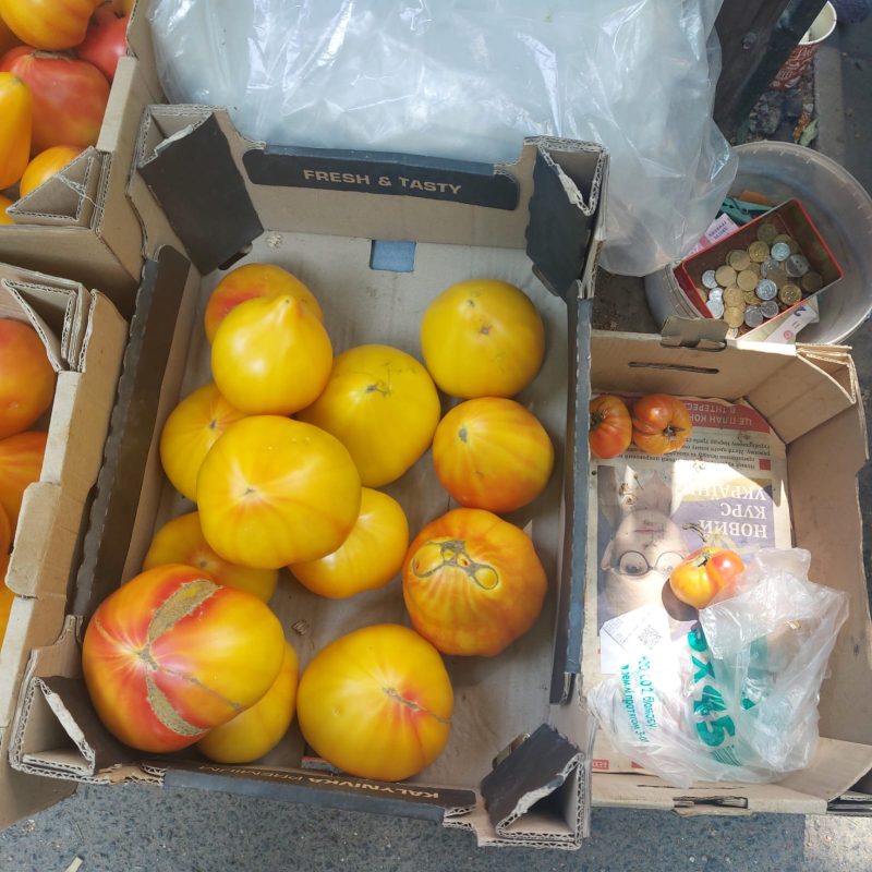 Помідори жовті