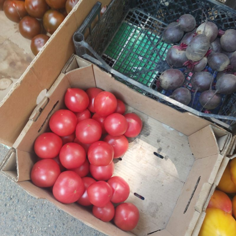 Буряк солодкий